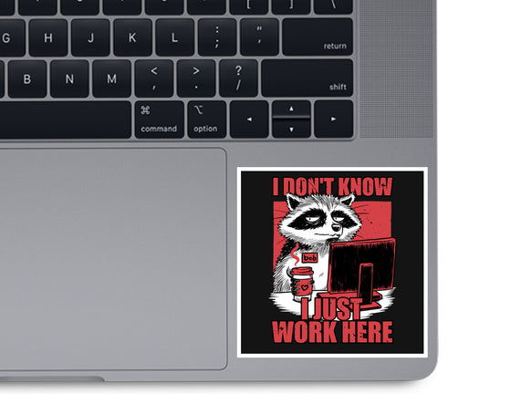 Raccoon Tired Work