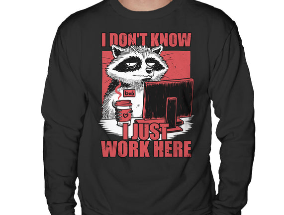 Raccoon Tired Work