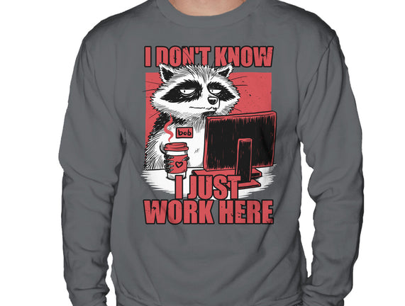 Raccoon Tired Work