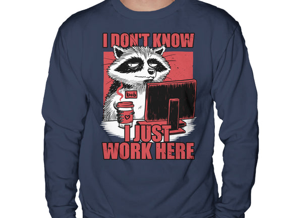 Raccoon Tired Work