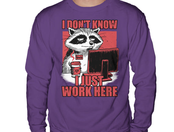Raccoon Tired Work