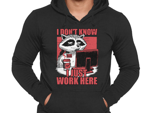 Raccoon Tired Work