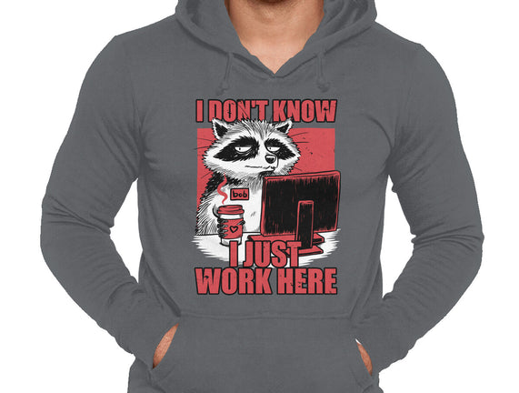 Raccoon Tired Work