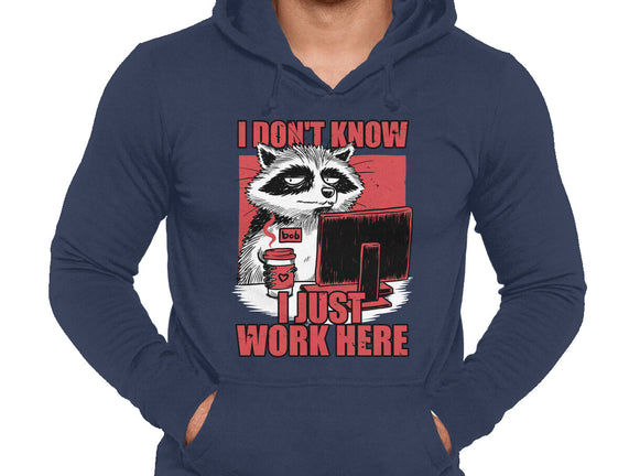 Raccoon Tired Work