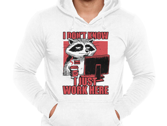 Raccoon Tired Work