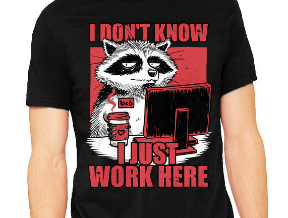 Raccoon Tired Work