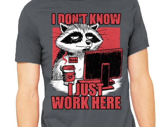 Raccoon Tired Work