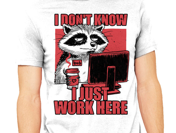 Raccoon Tired Work
