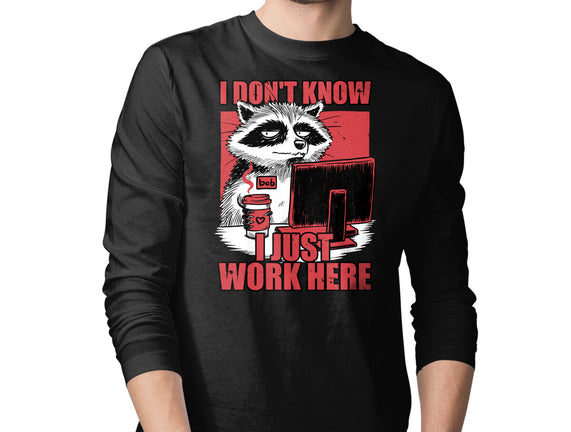 Raccoon Tired Work