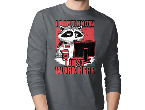 Raccoon Tired Work