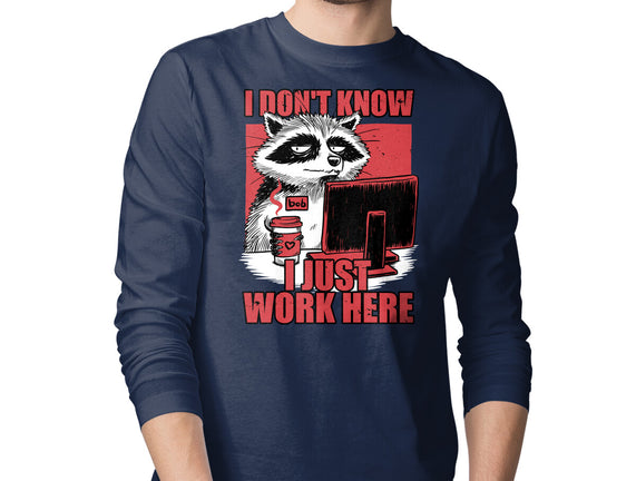 Raccoon Tired Work