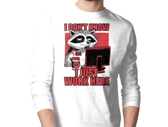 Raccoon Tired Work