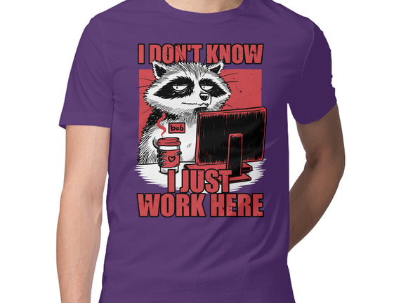 Raccoon Tired Work