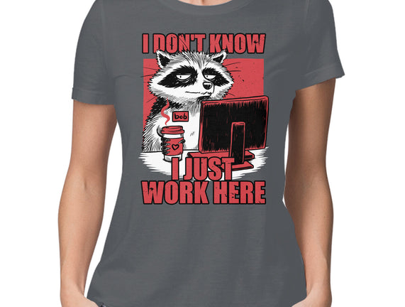 Raccoon Tired Work