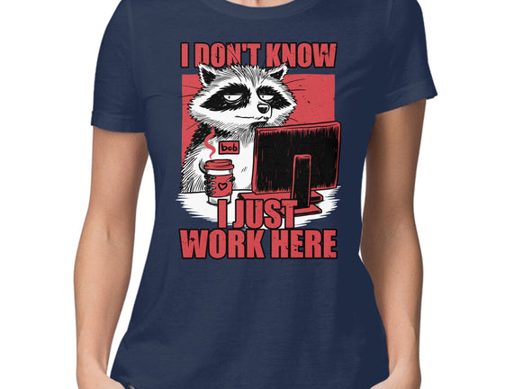 Raccoon Tired Work
