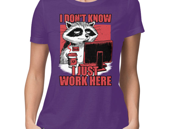 Raccoon Tired Work