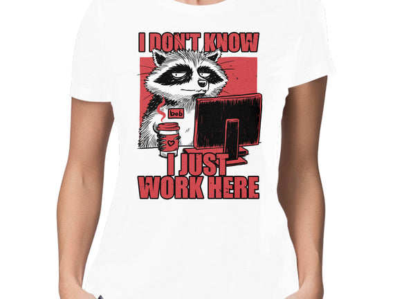 Raccoon Tired Work