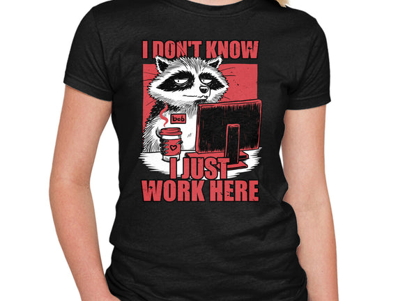 Raccoon Tired Work