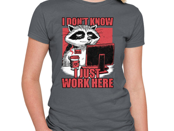 Raccoon Tired Work