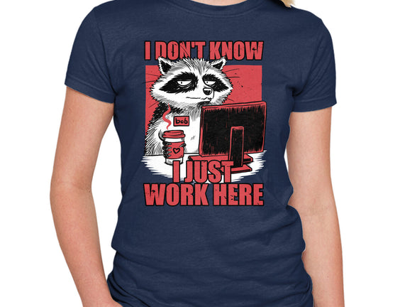 Raccoon Tired Work