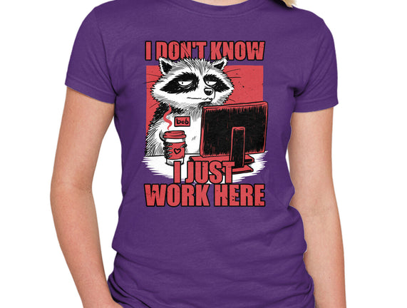 Raccoon Tired Work