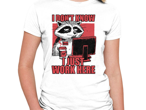 Raccoon Tired Work