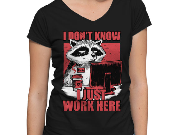 Raccoon Tired Work