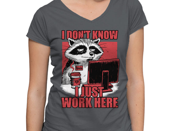 Raccoon Tired Work
