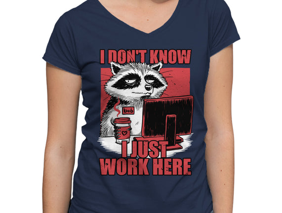Raccoon Tired Work