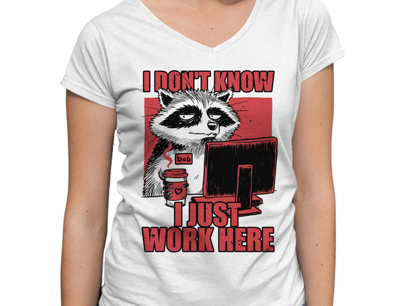 Raccoon Tired Work