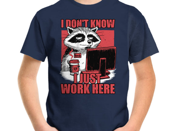 Raccoon Tired Work