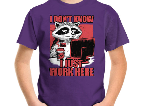 Raccoon Tired Work