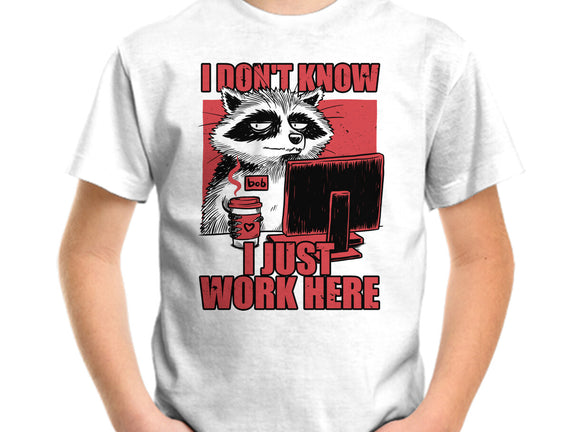 Raccoon Tired Work