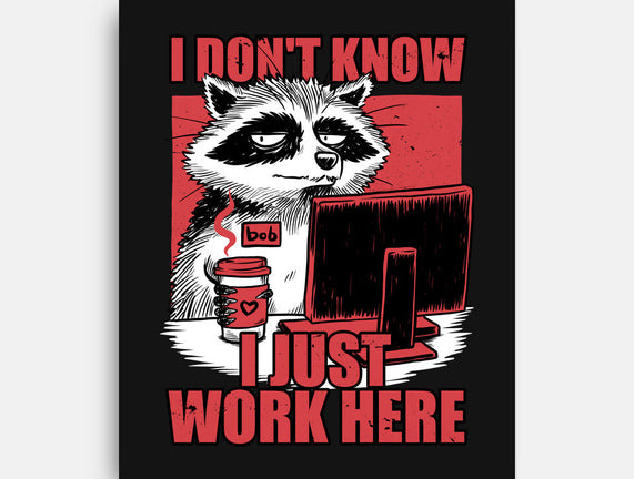 Raccoon Tired Work