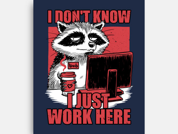 Raccoon Tired Work