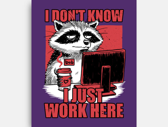 Raccoon Tired Work