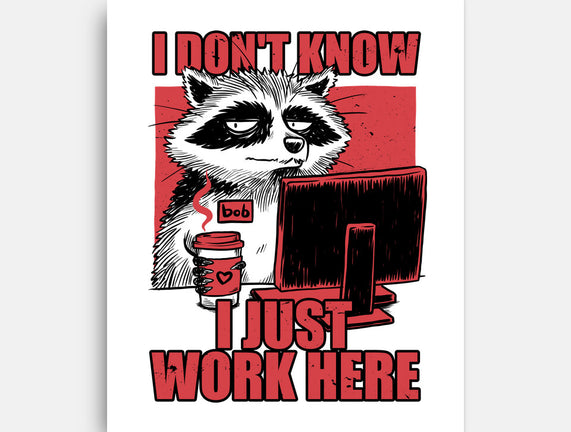 Raccoon Tired Work