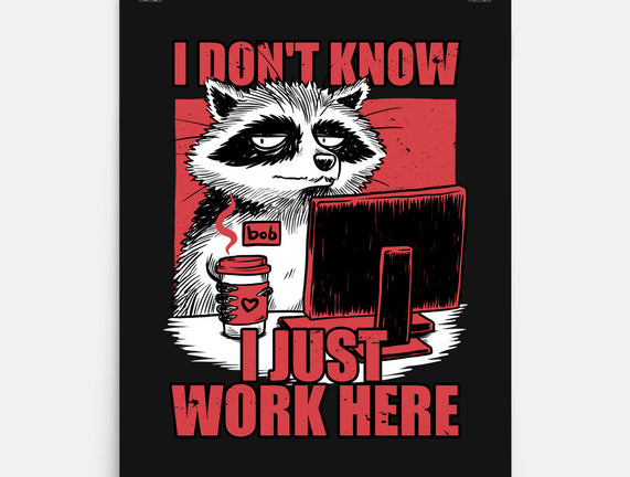 Raccoon Tired Work