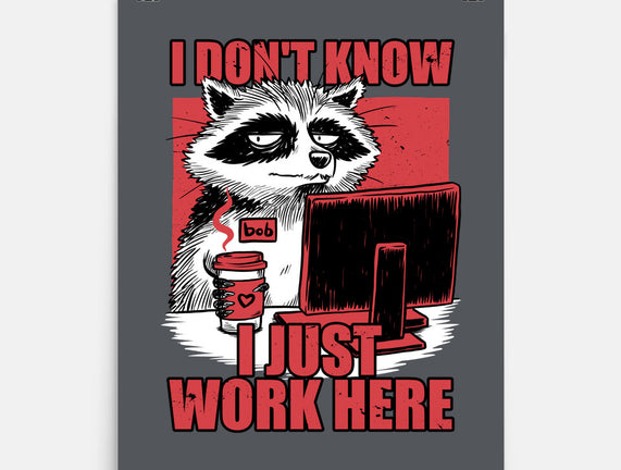 Raccoon Tired Work