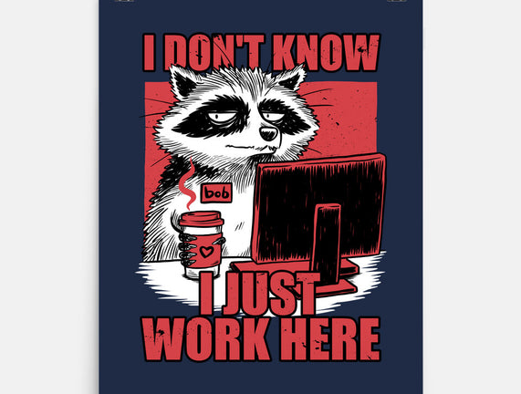Raccoon Tired Work