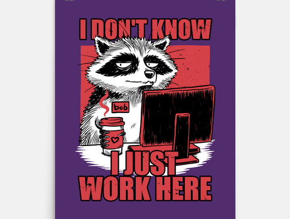 Raccoon Tired Work