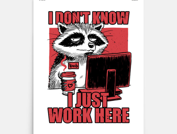 Raccoon Tired Work