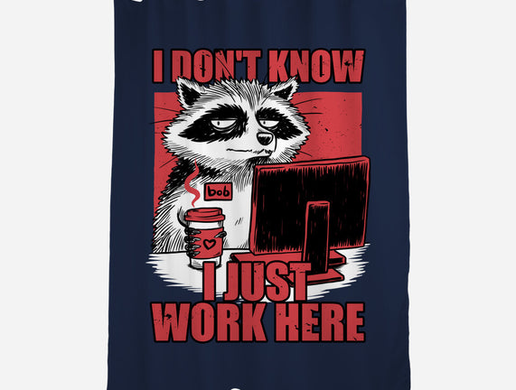 Raccoon Tired Work