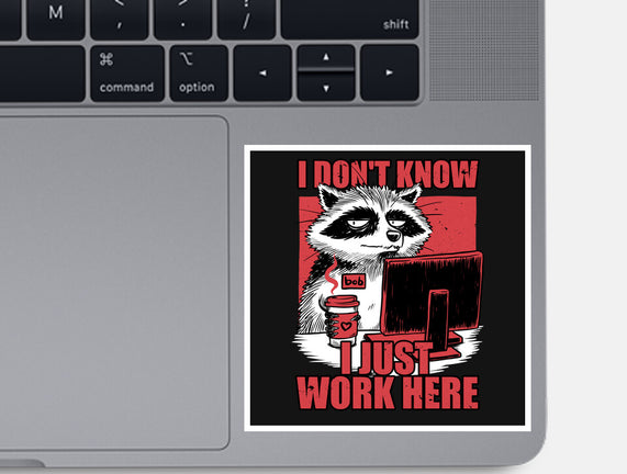 Raccoon Tired Work