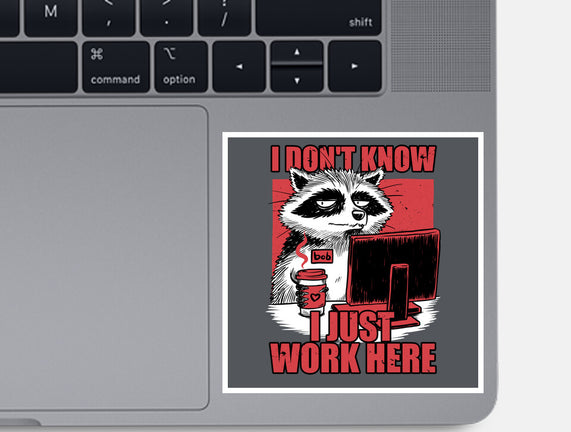 Raccoon Tired Work