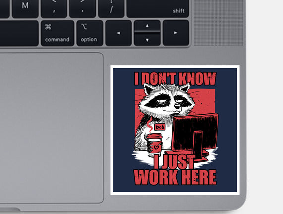 Raccoon Tired Work