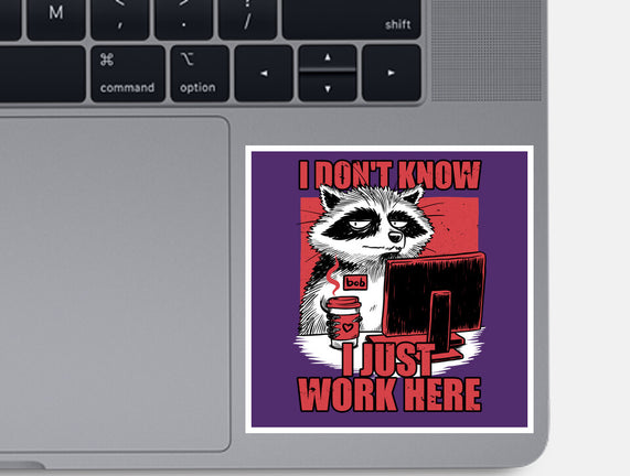 Raccoon Tired Work