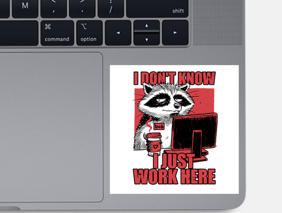 Raccoon Tired Work