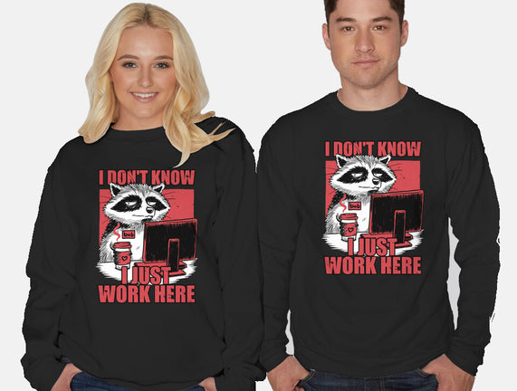 Raccoon Tired Work