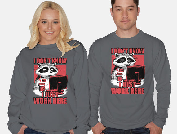 Raccoon Tired Work